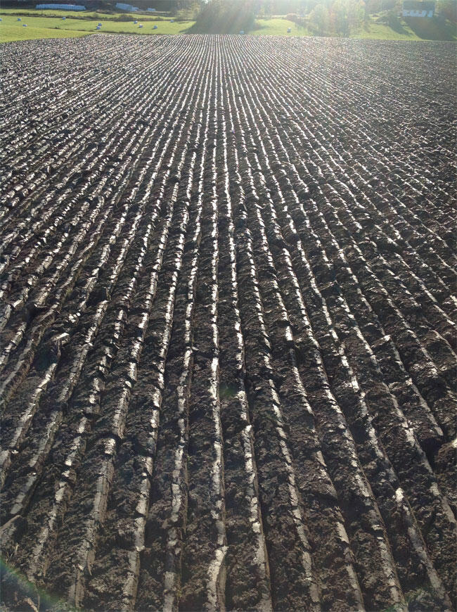 ploughed-land650