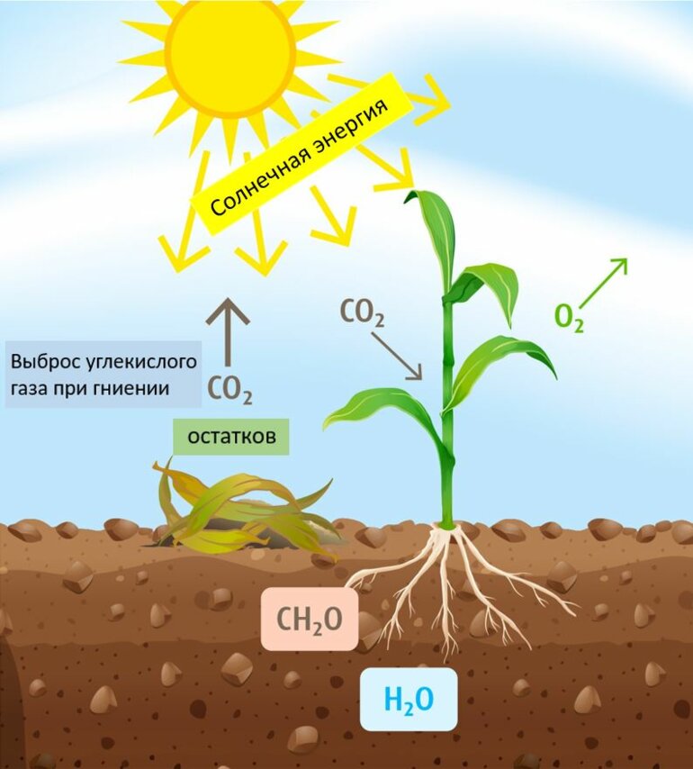 CO2 Plant