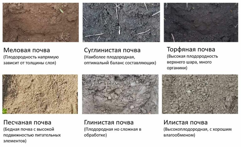 Soil types CO2 stotage
