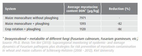 Fungal deseases after ploughing